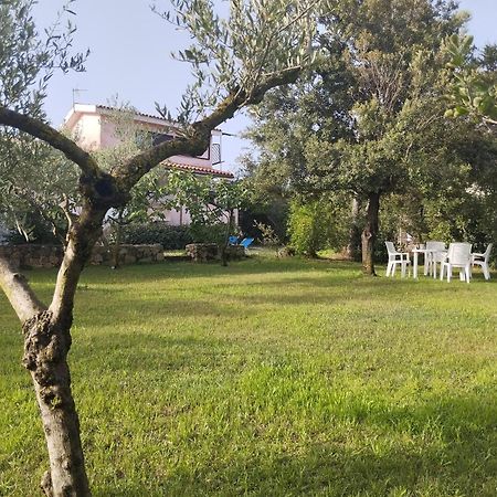 Appartamento In Villa Bruno Olbia Extérieur photo