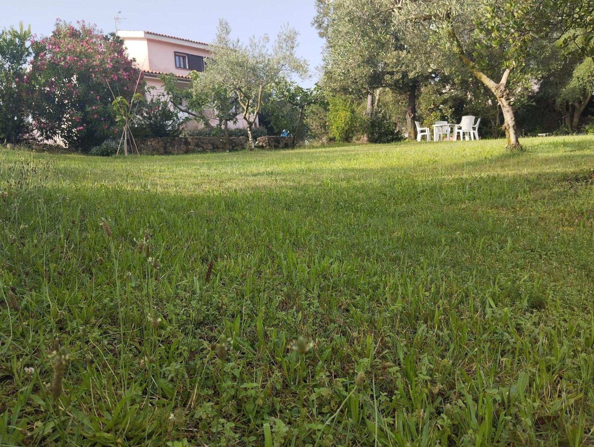 Appartamento In Villa Bruno Olbia Extérieur photo